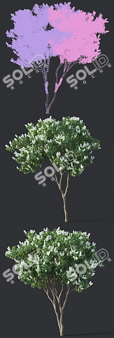 Luscious Lilac Tree - 390cm 3D model image 3