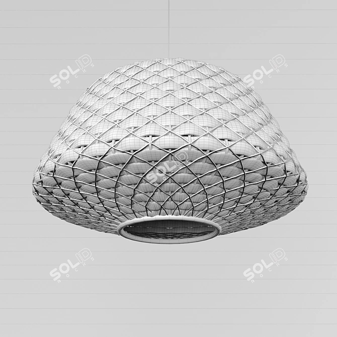 Hyacinth Basket Pendant Lamp (460mm Height, 630mm Diameter) 3D model image 3