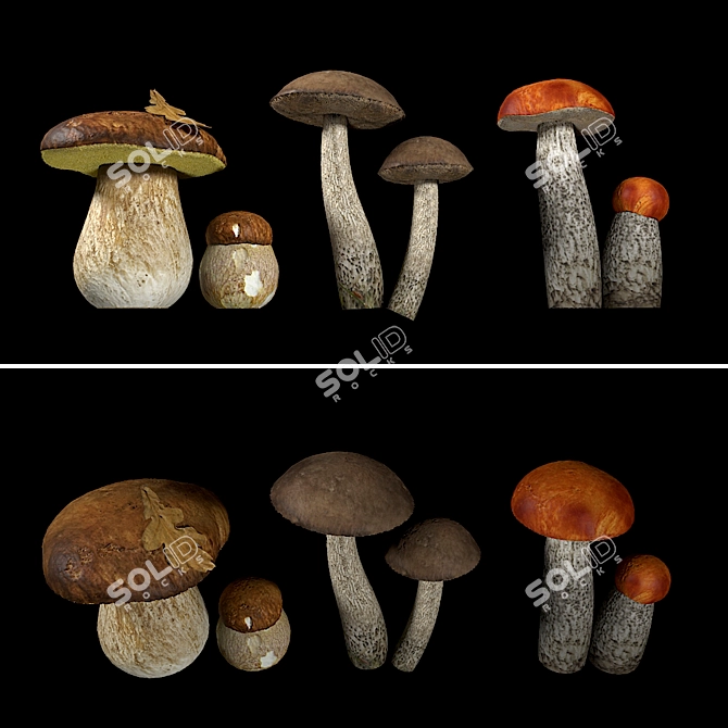 Mushroom Collection: 4 Varieties 3D model image 1