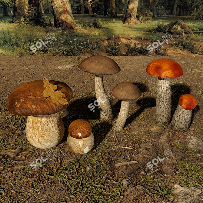 Mushroom Collection: 4 Varieties 3D model image 2