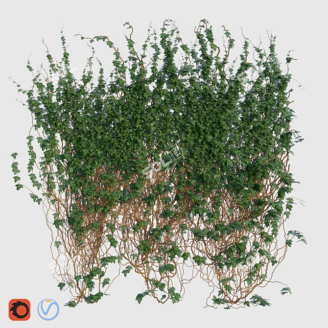 Evergreen Ivy Wall Covering - 3x3m 3D model image 1