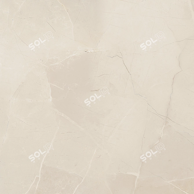 Elegant Marble Floor 55 3D model image 3
