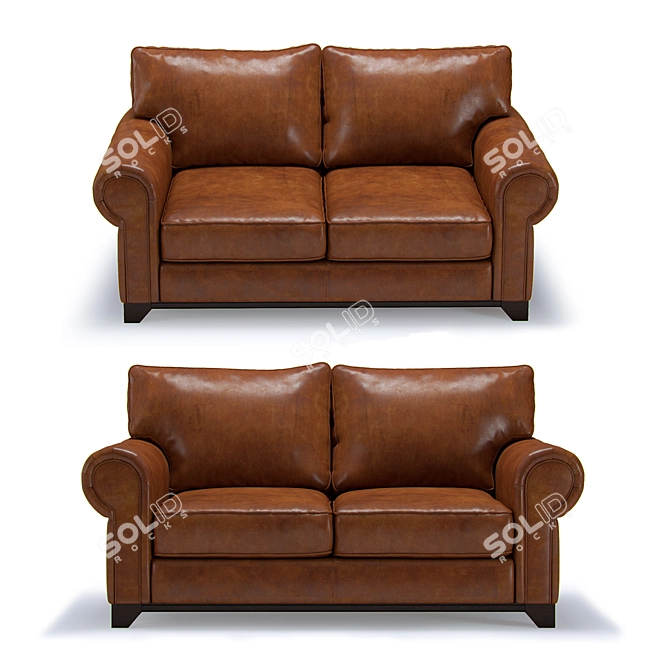 Dakota Western Leather Sofa 3D model image 2