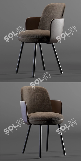 Modern Design Chair - Wittmann MERWYN 3D model image 2