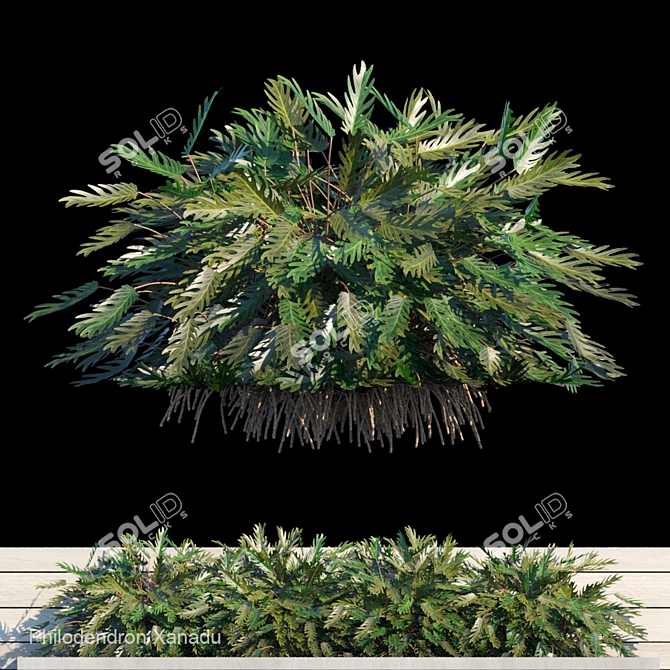 Xanadu Outdoor Greenery Kit 3D model image 1