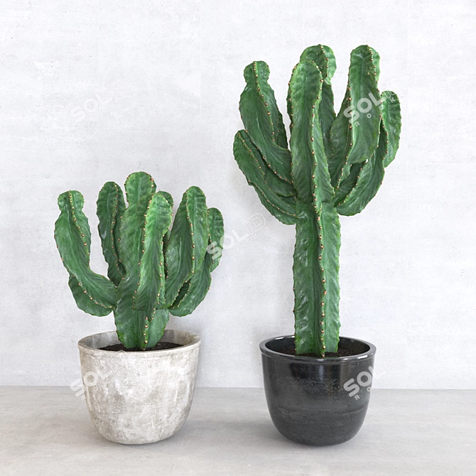 Sleek Cactus Sculpture 3D model image 1