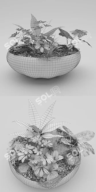 Modern Indoor Plant Pot 3D model image 3