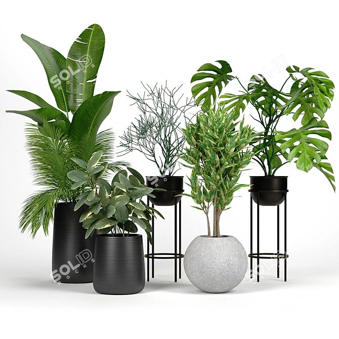 Modern Planters Set 04: Saabira Fiberstone, Sphere, Wesley Stand 3D model image 1