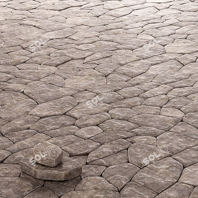 Polygon Paving Stones: High-Resolution Texture 3D model image 1