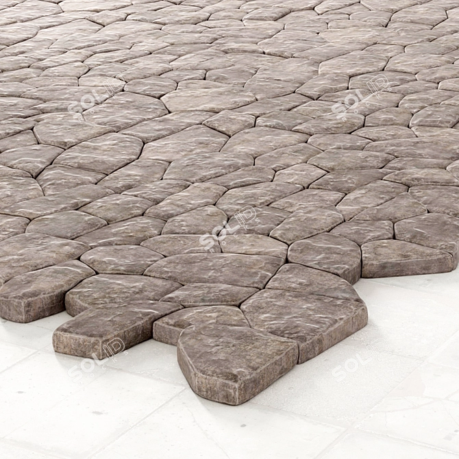 Polygon Paving Stones: High-Resolution Texture 3D model image 2