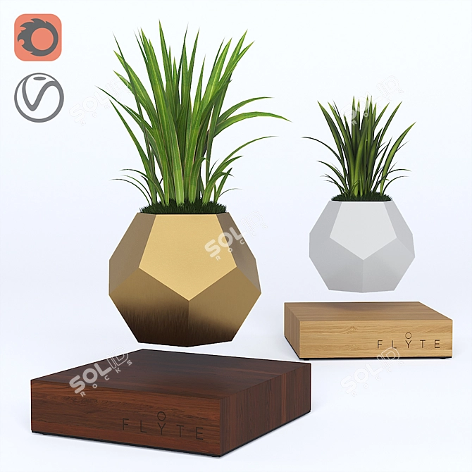 Flyte: Levitate Your Flowers 3D model image 1