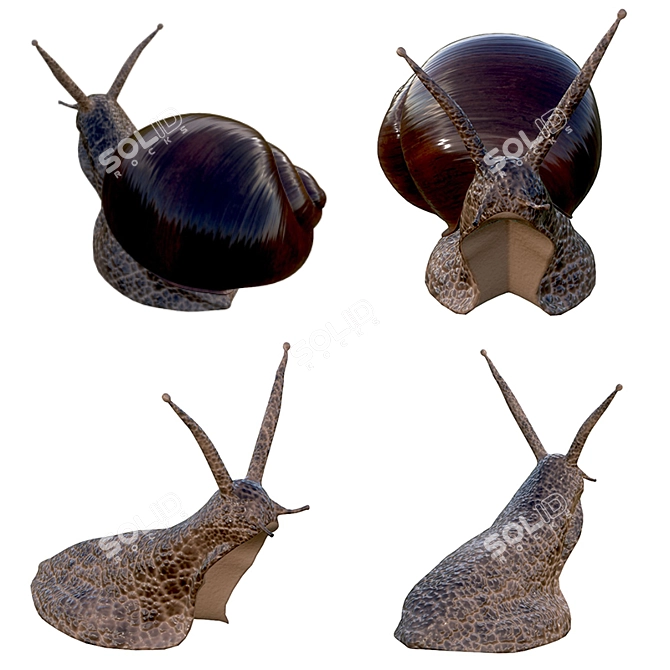 Mini Snail Figurine for Collectors 3D model image 2