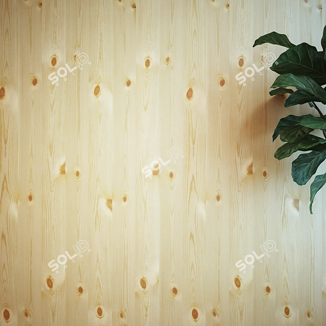 Natural Pine Wood Veneer 3D model image 2