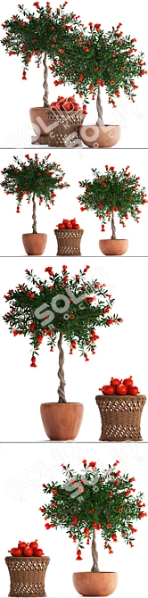 Blooming Pomegranate Tree with Fruits 3D model image 2