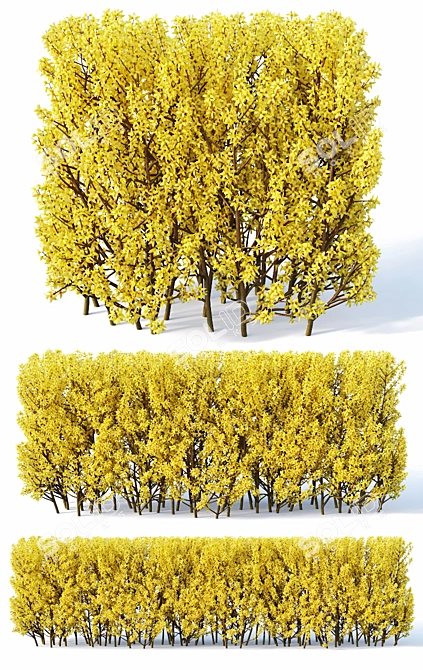Forsythia Hedge - 120 cm 3D model image 3