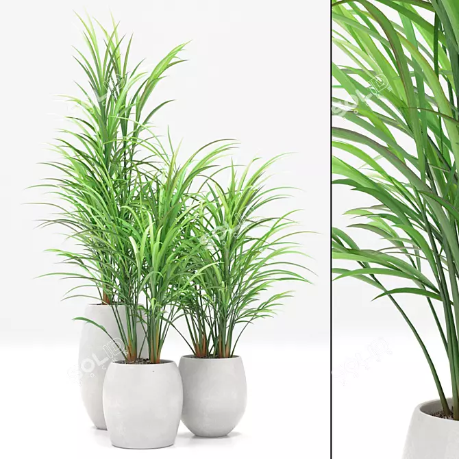 Natural Oasis Bamboo Palm Set 3D model image 1