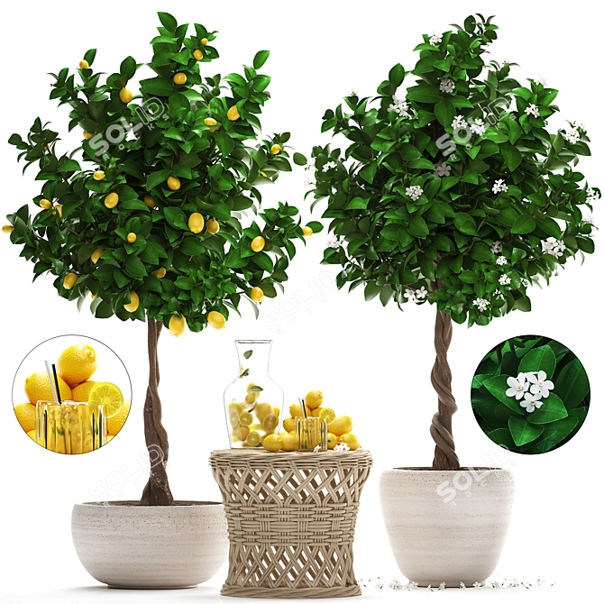 Lemon Tree Garden Set 3D model image 1