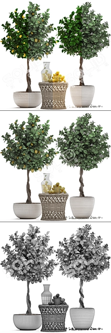 Lemon Tree Garden Set 3D model image 3