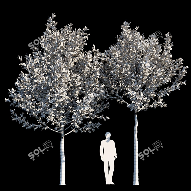 Urban Oasis: Street Tree 3 3D model image 2