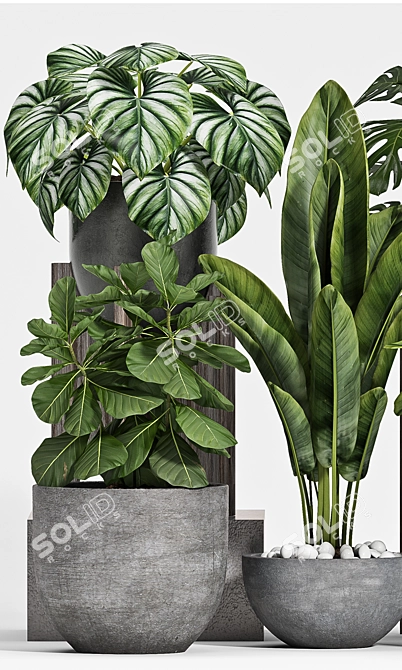 Botanical Bliss 3-Piece Set 3D model image 3