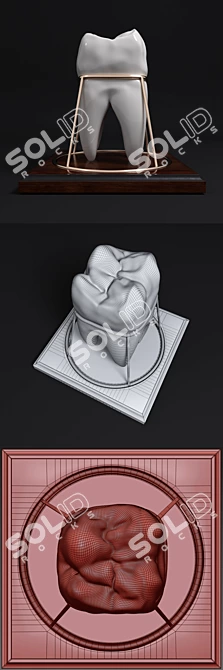 Dental Keepsake: Handcrafted Tooth Souvenir 3D model image 3