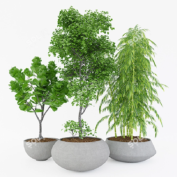 Lush Greenery Set 3D model image 1