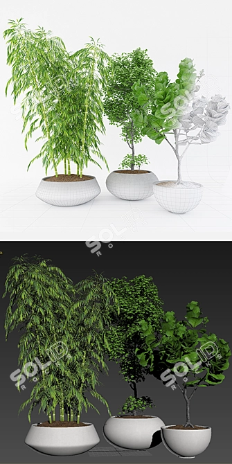 Lush Greenery Set 3D model image 2