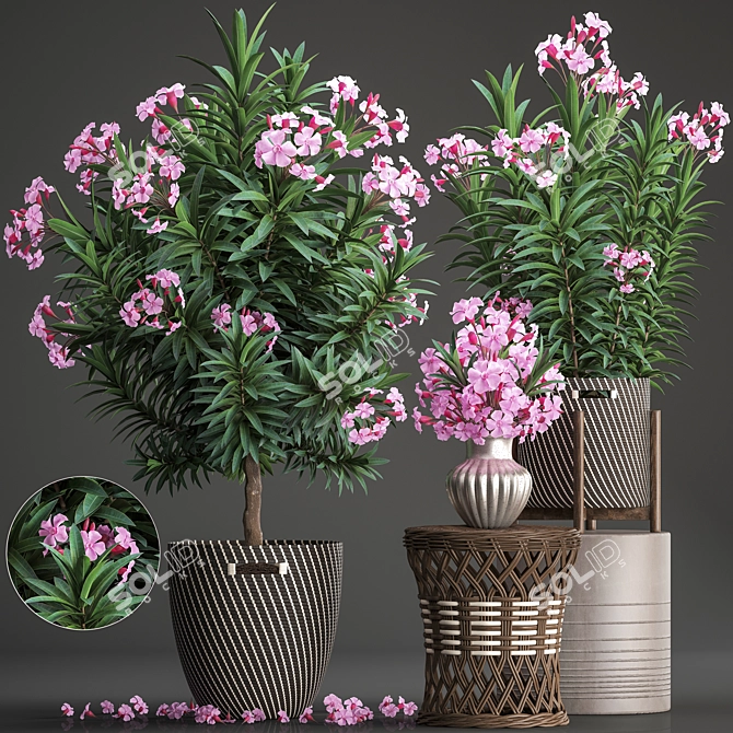 Title: Exotic Plant Collection: Oleander & Rattan Furniture 3D model image 1