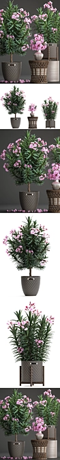 Title: Exotic Plant Collection: Oleander & Rattan Furniture 3D model image 2
