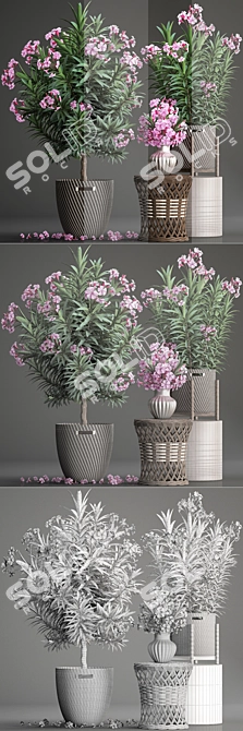 Title: Exotic Plant Collection: Oleander & Rattan Furniture 3D model image 3