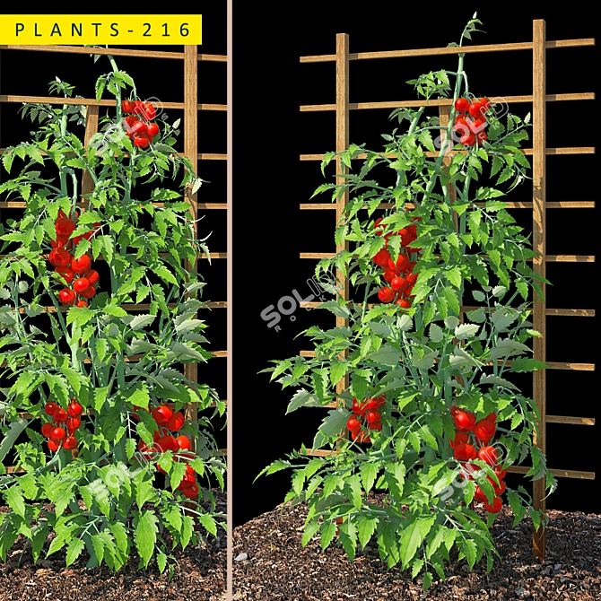 Green Oasis: 216 Botanical Beauties 3D model image 1