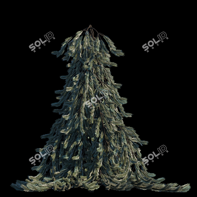 Elegant Weeping Norway Spruce 3D model image 1