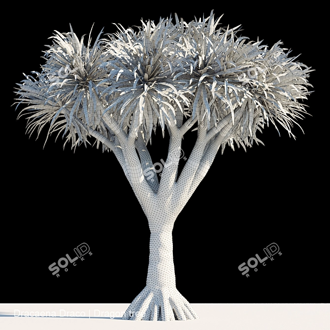 Majestic Draco Dragon Tree 3D model image 2