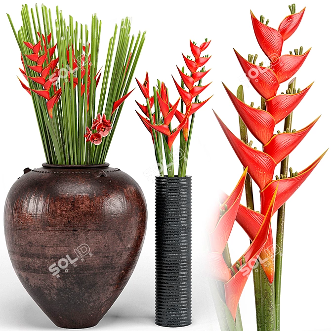 Exotic Tropical Floor Plants 3D model image 1