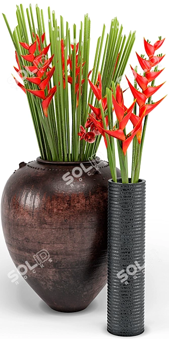 Exotic Tropical Floor Plants 3D model image 2