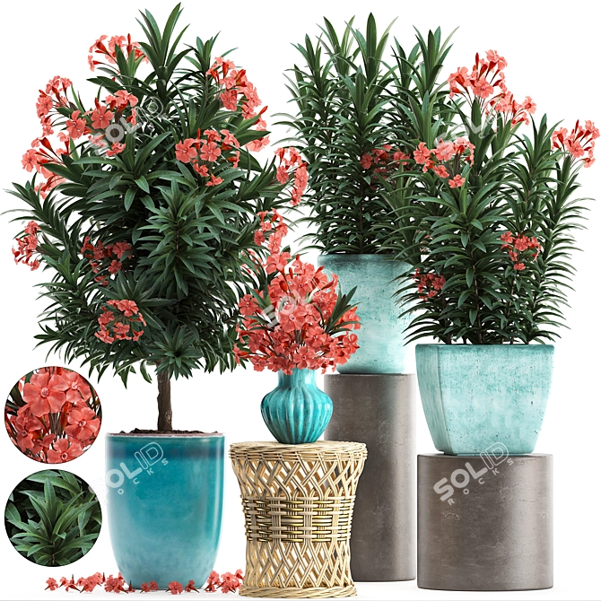 Exotic Nerium Oleander: Plant Collection 270 3D model image 1