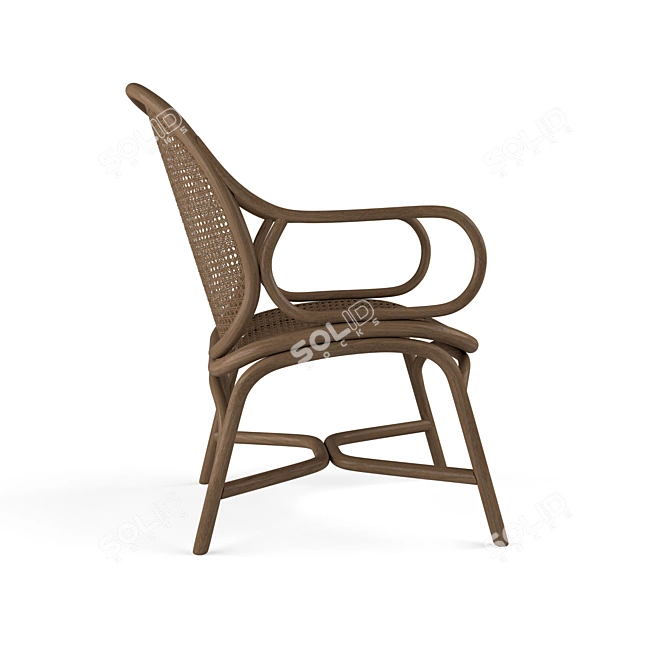 Wicker Low Back Armchair 3D model image 2