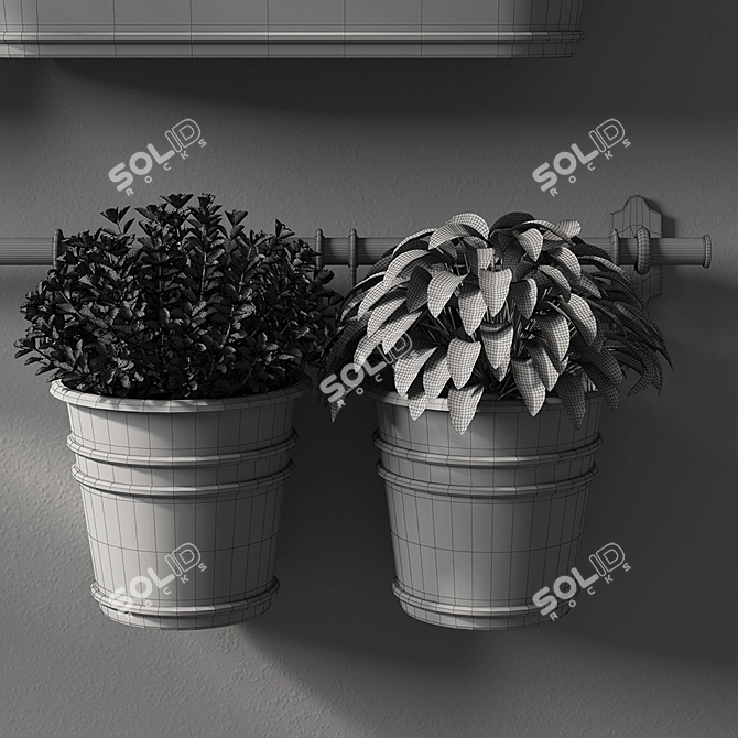 Premium Plant Collection | 3ds Max, OBJ | V-Ray, Corona, Fstorm 3D model image 3