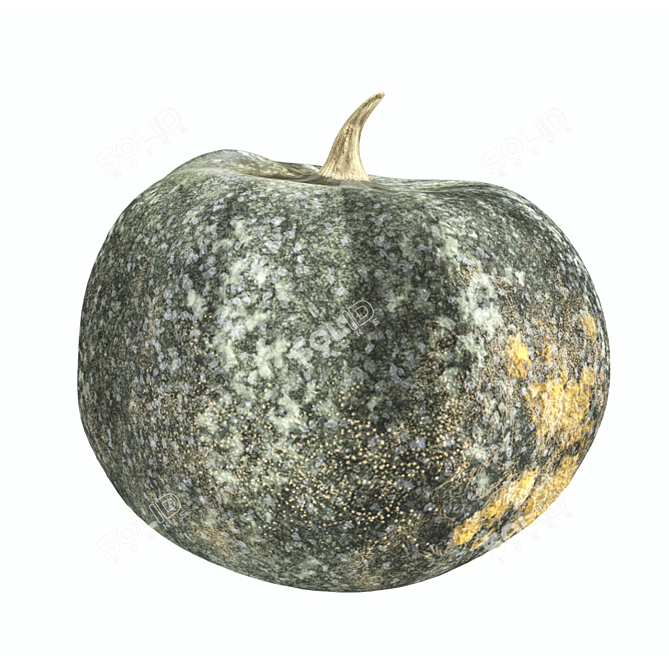 Pumpkin Sculpture with Texture Maps 3D model image 1