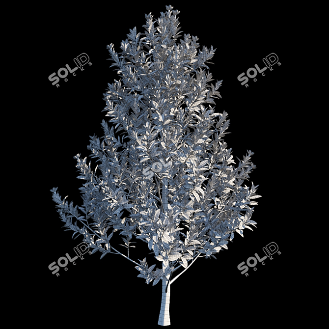 Elegant Magnolia Grandiflora 3D model image 3