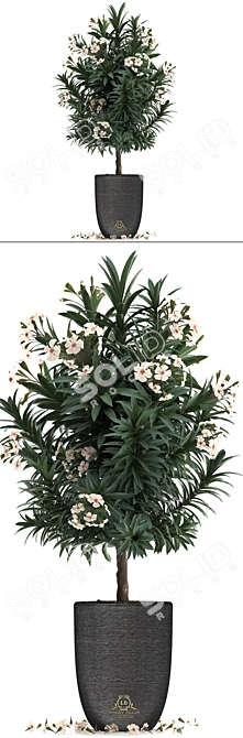 Exotic Nerium Oleander Tree - Plant Collection 271 3D model image 2