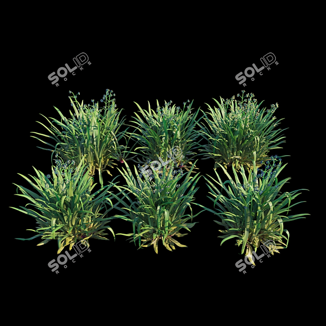  Blue Flax Lily: Beautiful and Easy-Growing 3D model image 2