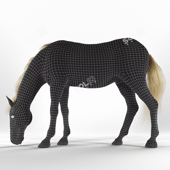 Grazing Stallion: Realistic 3D Horse Model 3D model image 3