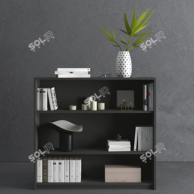 Elegant Book Collection with Decoratives 3D model image 1