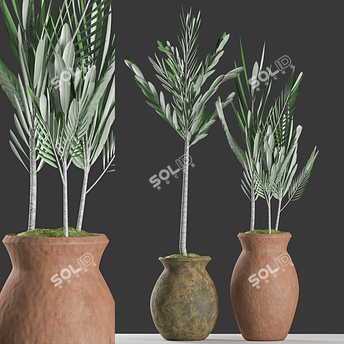 Olive Plants with Clay Pot 3D model image 1