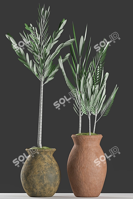 Olive Plants with Clay Pot 3D model image 2