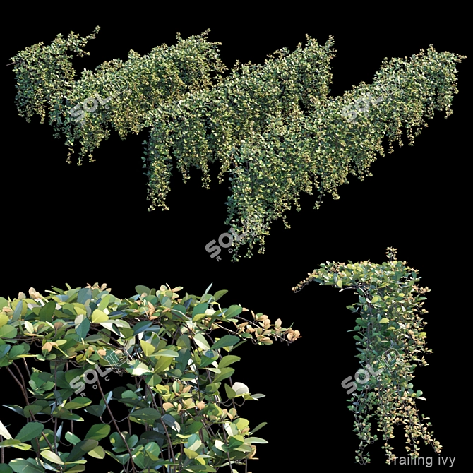 2-Piece Trailing Ivy Set 3D model image 1