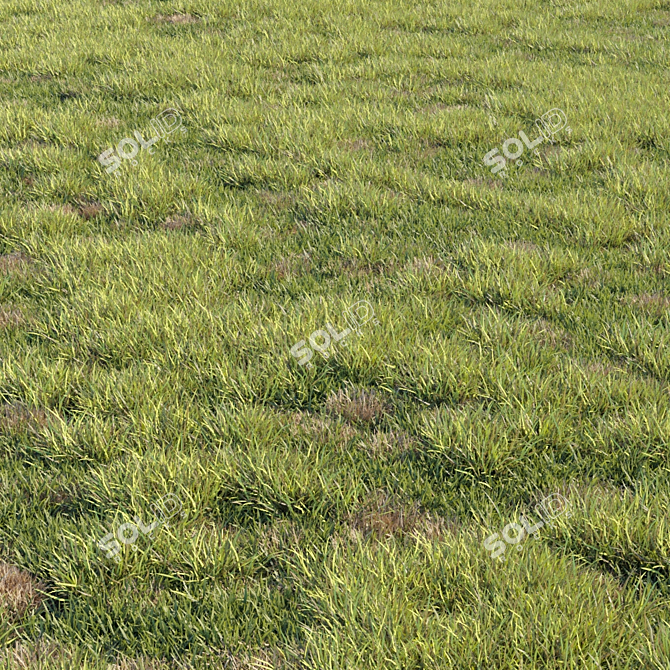 Greenify your space with Grass Kit 2! 3D model image 1