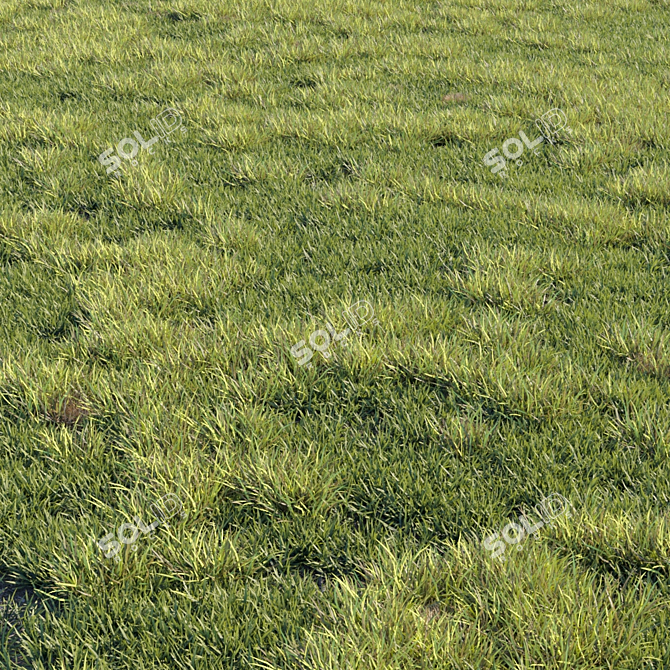 Greenify your space with Grass Kit 2! 3D model image 2