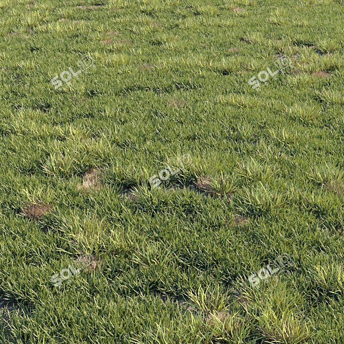 Greenify your space with Grass Kit 2! 3D model image 3